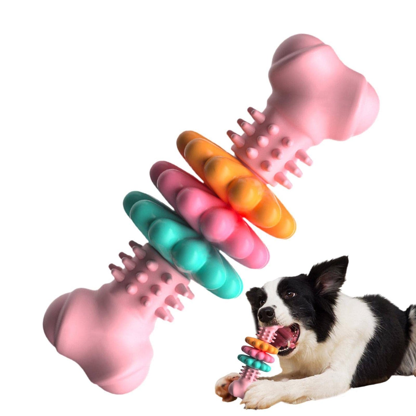Dog Teething Bone