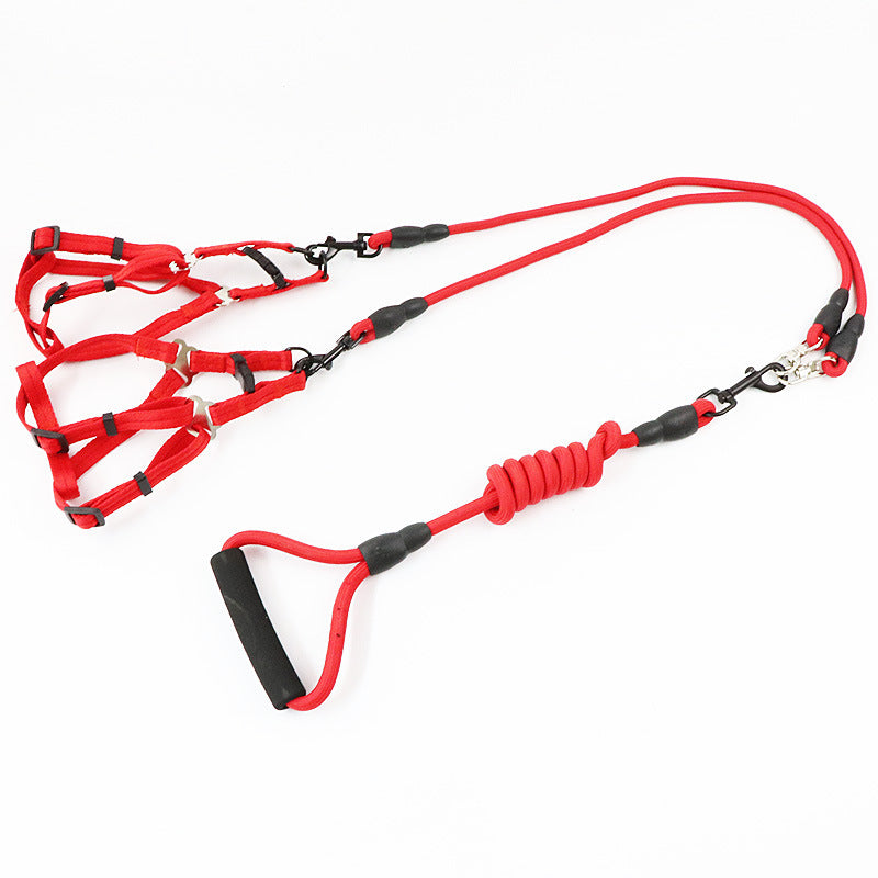 Triple Dog Leash