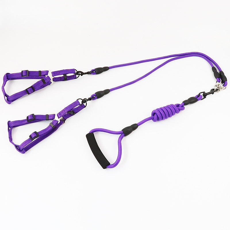 Triple Dog Leash