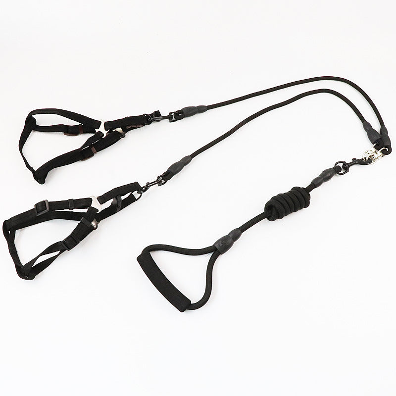 Triple Dog Leash