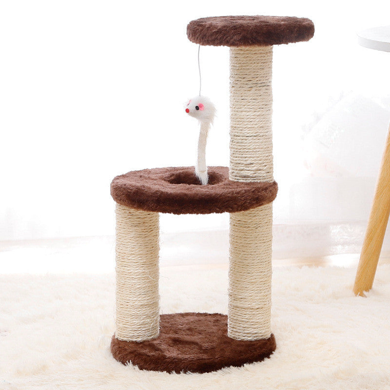 Cat Climbing Tower