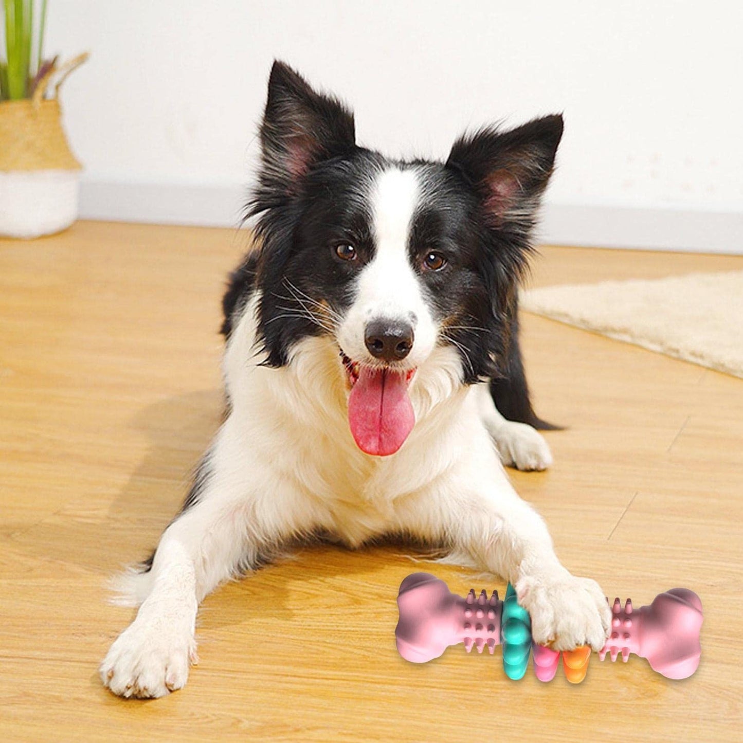 Dog Teething Bone