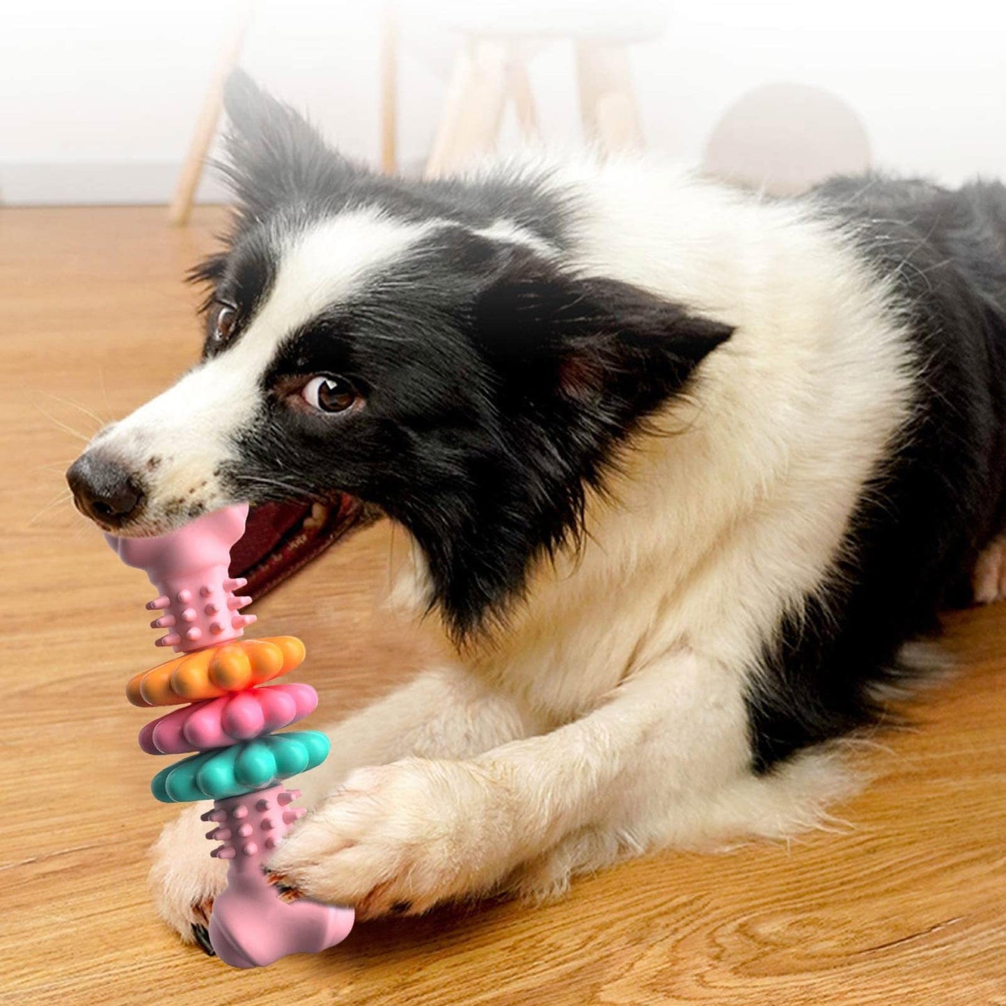 Dog Teething Bone