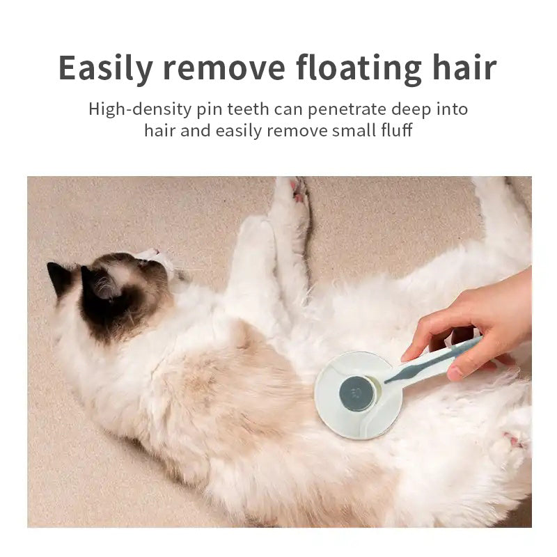 Self-Cleaning Comb