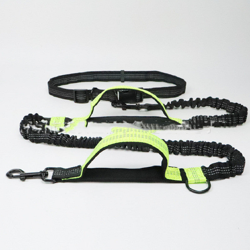 Multifunctional Pet Leash