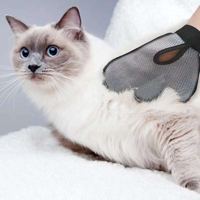 Pet Massage & Hair Removal Glove