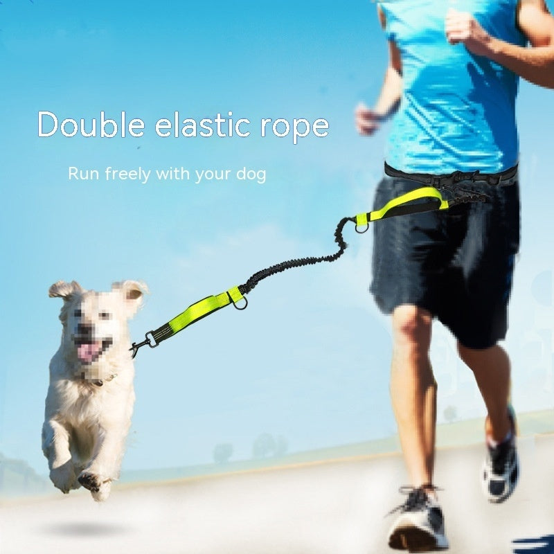 Multifunctional Pet Leash