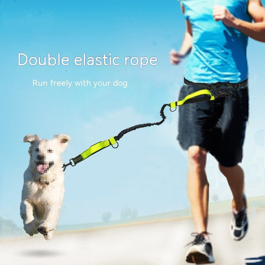 Multifunctional Pet Leash