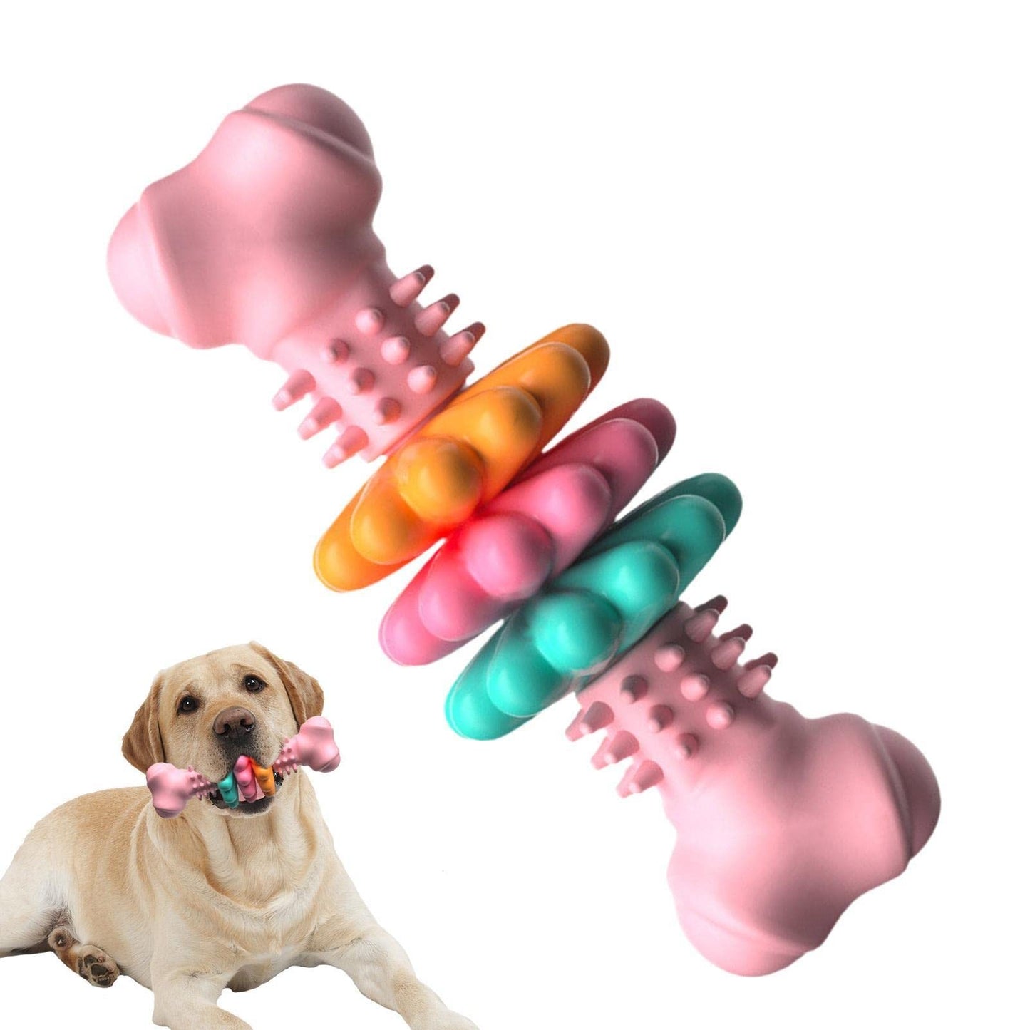 Dog Teething Bone