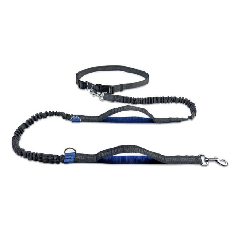 Multifunctional Pet Leash