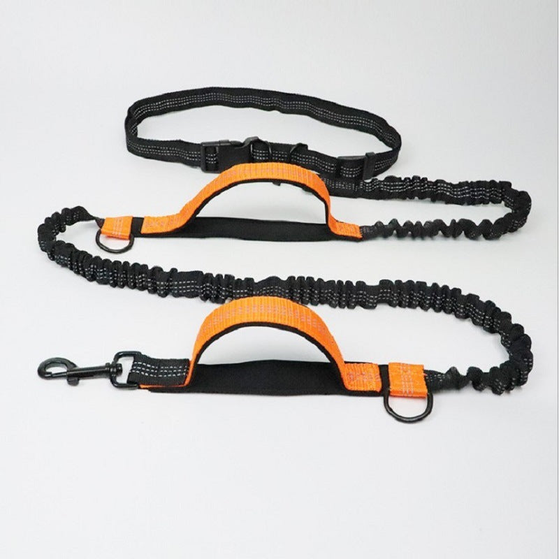 Multifunctional Pet Leash