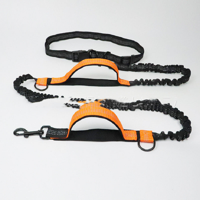 Multifunctional Pet Leash
